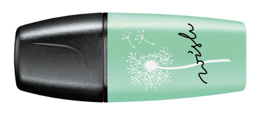 Teksto žymeklis BOSS MINI pastel. mėtų sp.