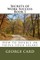 Secrets of Work Success