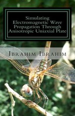 Simulating Electromagnetic Wave Propagation Through Anisotropic Uniaxial Plate