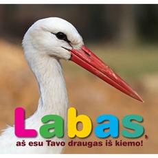Labas, aš esu tavo draugas iš kiemo!
