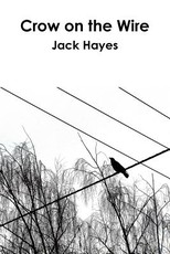 Crow on the Wire