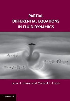 Partial Differential Equations in Fluid Dynamics + NEMOKAMAS ATVEŽIMAS!