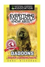 Everything You Should Know About