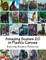Amazing Scenes 20