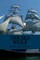 The sea Wolf (English Edition)