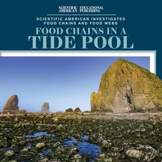 Food Chains in a Tide Pool