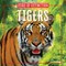 Tigers