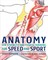 Anatomy for Strength and Fitness Training for Speed and Sport