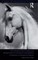 The Concept 'Horse' Paradox and Wittgensteinian Conceptual Investigations