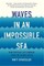 Waves in an Impossible Sea