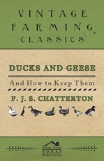 Ducks and Geese: And How to Keep Them