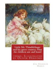 Little Mr. Thimblefinger and his queer country; what the children saw and heard