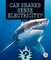 Can Sharks Sense Electricity?