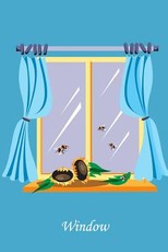 Window