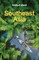 Lonely Planet Southeast Asia