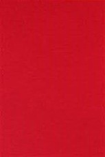 Spalvotas kartonas A1/160g raudonas