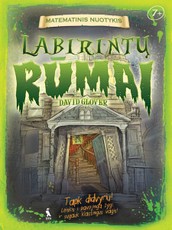 Labirintų rūmai. Matematinis nuotykis. Formos, erdvės ir matų paslaptys