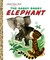 The Saggy Baggy Elephant