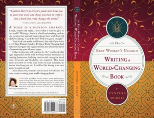 The Busy Woman's Guide to Writing a World-Changing Book