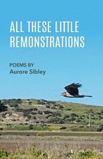 All These Little Remonstrations