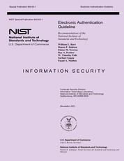 Electronic Authentication Guideline
