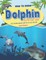 How to Draw Dolphin Step-by-Step Guide