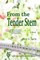 From the Tender Stem