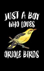 Just A Boy Who Loves Oriole Birds