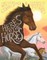 Here's to the Horses
