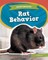 Rat Behavior