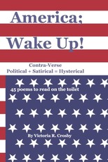 America; Wake Up!