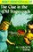 Nancy Drew 37: The Clue in the Old Stagecoach