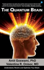 The Quantum Brain