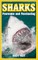 Sharks