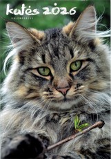 Sieninis kalendorius 2026. Katės