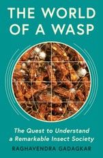 The World of a Wasp