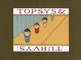Topsys & Turvys