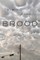 Brood