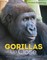 Gorillas Up Close