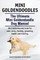 Mini Goldendoodles.  The Ultimate Mini Goldendoodle Dog Manual. Miniature Goldendoodle book for care, costs, feeding, grooming, health and training.