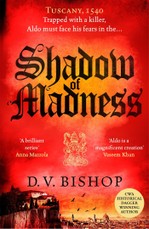 Shadow of Madness