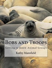 Bobs and Troops