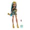„Monster High Burried Secrets“ siurprizas (HYV64)