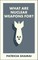 What Are Nuclear Weapons For?