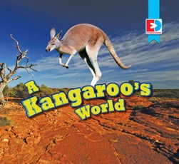 A Kangaroo's World