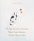 10 Spiritual Lessons You Can Learn from Your Cat