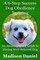 A 6-Step Success Dog Obedience Training: An Amazing Quick Guide to Having Well-Behaved Dog