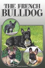 The French Bulldog