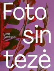 FOTOSINTEZĖ: patarimai ir istorijos iš augalų gyvenimo