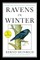 Ravens in Winter